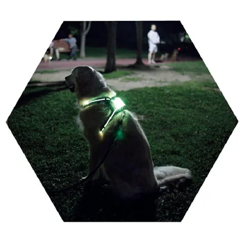 Simon köpek cc koşum üreticileri köpek aksesuarları light up köpek koşum led usb şarj edilebilir Arreios 0