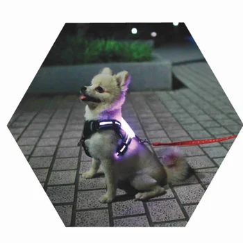 Cc simon Fabrika doğrudan satış yüksek kalite ile yanıp sönen köpek koşum LED