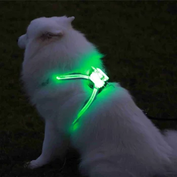 Pet Simon LED köpek tasması Gece Güvenlik Yanıp Sönen köpek tasması ve Tasma Seti Güneş USB Şarj Edilebilir Su Geçirmez Tasması Yansıtıcı