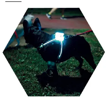Dogled koşum Pet Ürünleri için Büyük 7 in 1 renk Köpek Koşum Parlayan USB Led Yaka Köpek Kurşun Evcil Yelek Köpek Açar 2021