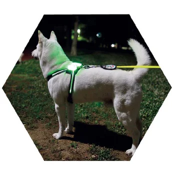 Simon köpek cc koşum üreticileri köpek aksesuarları light up köpek koşum led usb şarj edilebilir Arreios 2