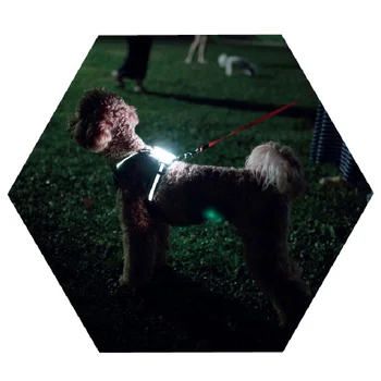 Simon köpek cc koşum üreticileri köpek aksesuarları light up köpek koşum led usb şarj edilebilir Arreios 4
